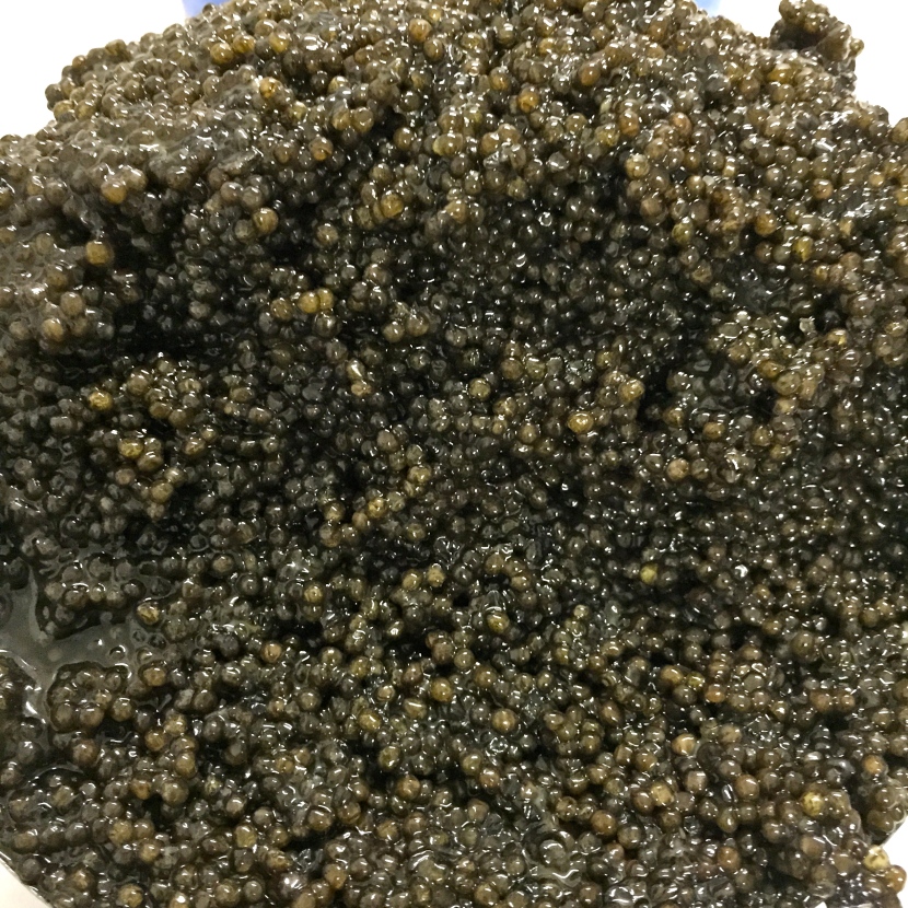 Caviar Baeri (Italie) © Greta Garbure